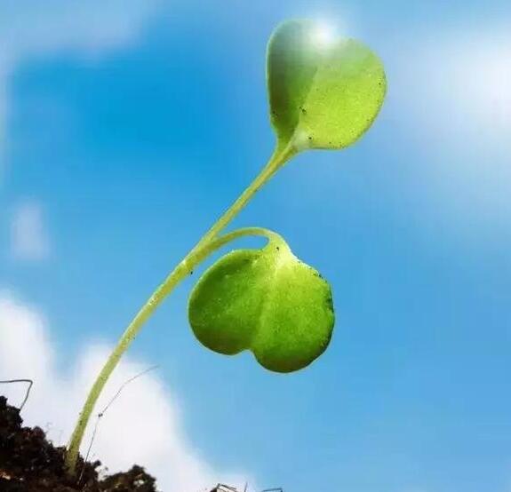 送给能在生活的折腾中，咬牙坚持的人们！