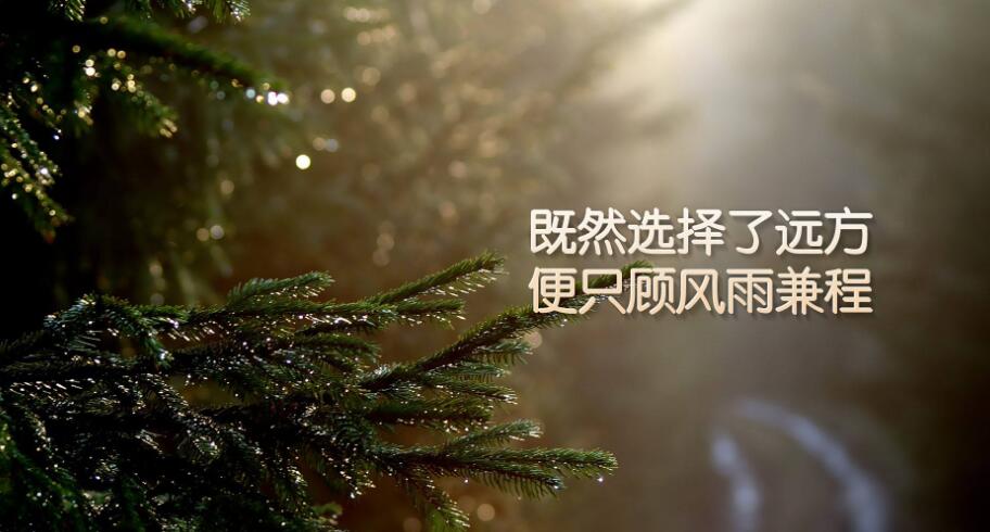 回望一切 倘若已物事人非 请你原谅