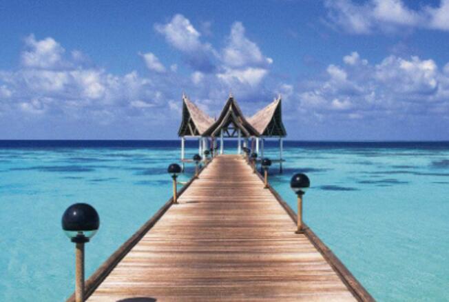 一篇很好的养生保健文章之平衡饮食