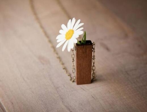  岁月不饶人 我们又何曾饶过岁月