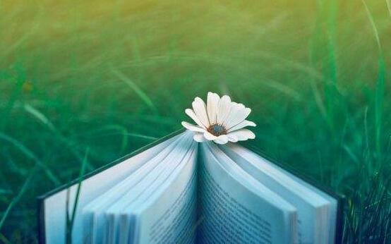 桑叶变成丝绸 粘土变成堡垒 今天我们要加倍重视自己的价值