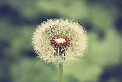 清晨三件事，助你活过90岁！