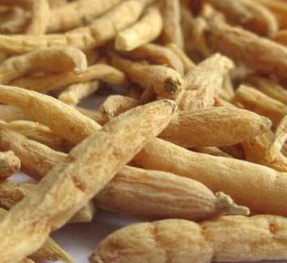 太子参的功效与作用 可以康健我们的脾和肺