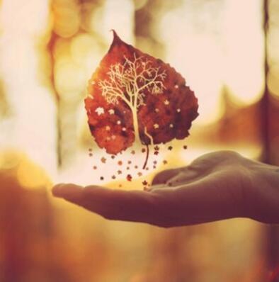 如果是因为陌生才相爱，那为什么彼此了解后要分开？