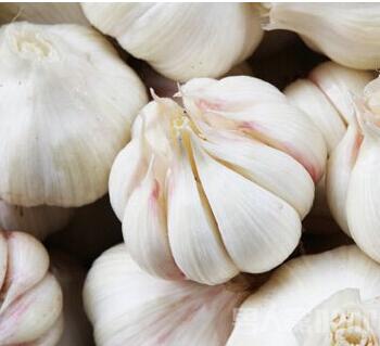 男人不能说不行！男人养肾最佳10食物 你知道吗