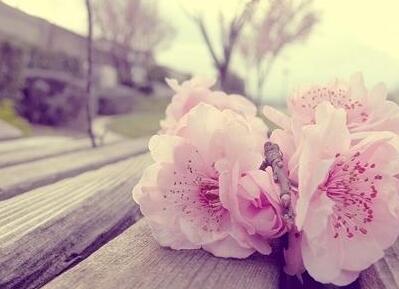 白羊座和12星座的爱情 快来看看和你的他是哪种爱情