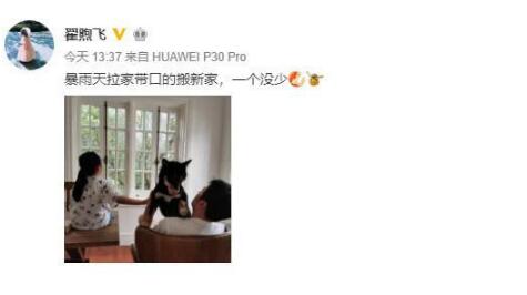 网爆雷佳音出轨佟丽娅，雷佳音妻子晒照回应，人家夫妻感情好着呢