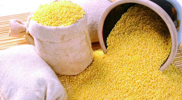 3个熬小米粥好喝营养的秘诀 简单实用 抓紧学起来吧！