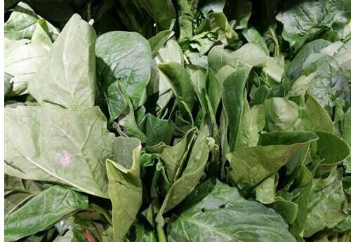 上火的症状是什么 上火要吃这些食物！