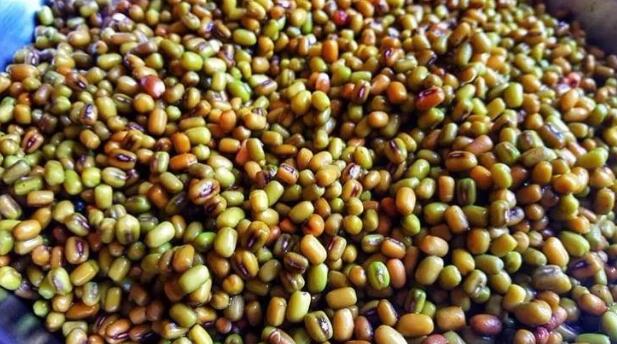 什么是淀粉豆？为什么淀粉豆控糖效果好?