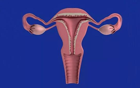 尿频、便秘、腹痛……你可能得了子宫肌瘤!为什么会长子宫肌瘤？