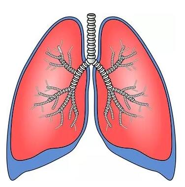这个动作可能增加肺炎风险！但几乎每个人都做过……