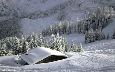 我爱你你爱他他爱我