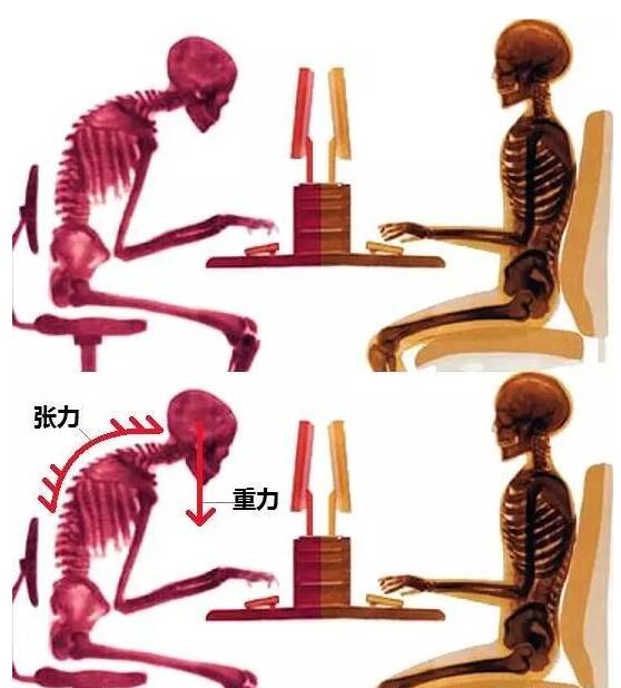 3个步骤改变上班族坐姿 学会这几点让你15天之内，成为别人眼里的女神