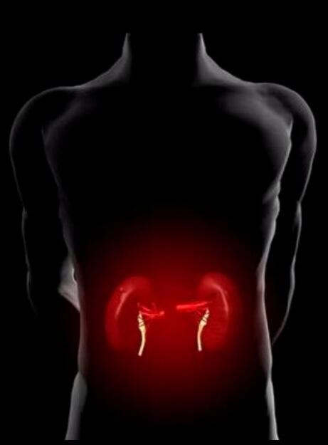 肾脏是体内排毒的重要器官 你要知道给肾脏排毒最有效的食物！