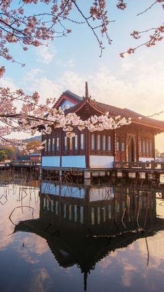 怎么才能让睫毛变长