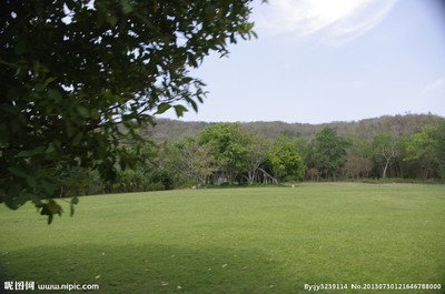 如果我死了 若是有来生