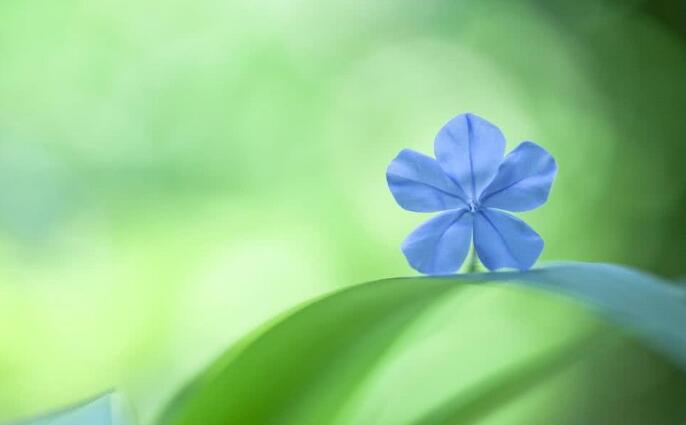 十二生肖：十二生肖男结婚后怎么对老婆谁婚后最疼老婆