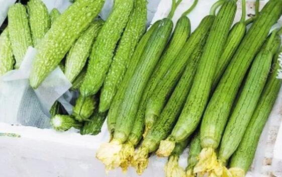 入伏应该吃什么食物好？最适宜入伏天吃的九大食物！