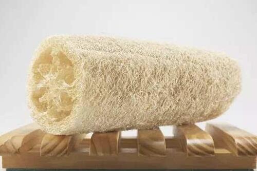 干丝瓜络的功效与作用 物美价廉的清洁能手