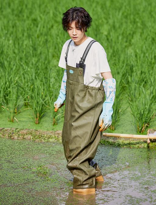 鹿晗徒手抓鱼什么梗《向往的生活》鹿晗徒手抓鱼怎么回事？