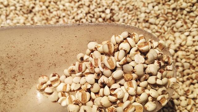 薏米属于祛湿药 那么薏米粥可以过夜吃吗 薏米粥可以放几天？