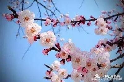 如果有来生 我们还要做朋友