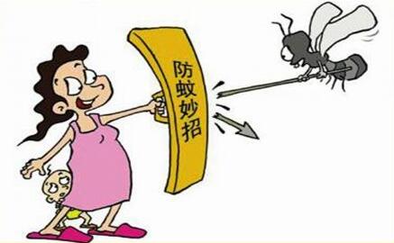 5个夏季驱蚊谣言 教你正确驱蚊方法！