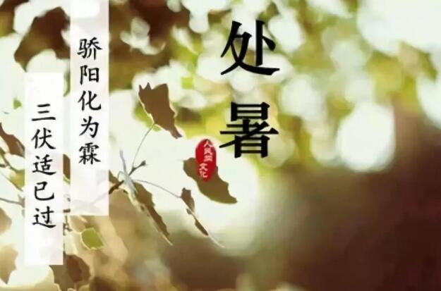 处暑=凉快？处暑节气后气候变数较大 要牢记三点防疾病