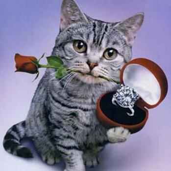 怎么预防长白头发 白发变黑发的方法有哪些