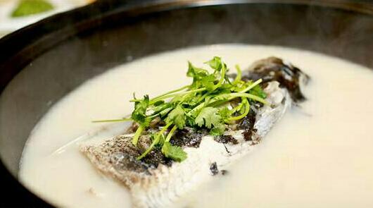 补脑吃什么鱼好 鱼怎么做才最有营养？