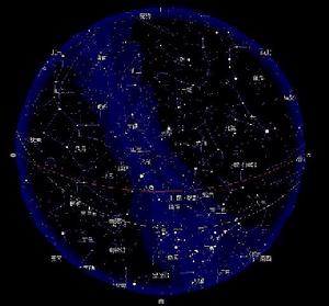 十二星座为什么只撩不追 到底是什么心态