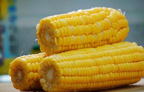 吃粗粮多多益善-不 过量有害健康 这些人不宜吃粗粮