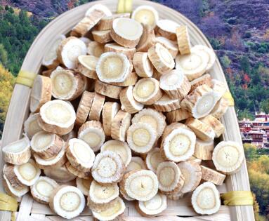 经常用黄芪泡水喝 哪些人不合适喝黄芪水 盘点黄芪的几个禁忌