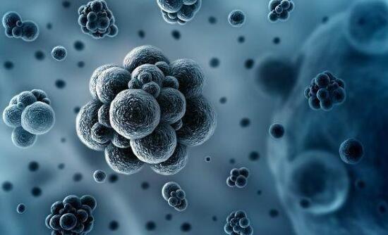 黄曲霉毒素危害竟然这么大 怎么减少对黄曲霉素的接触？