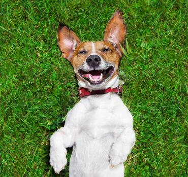 我总不能阻止你 奔向比我更好的人吧