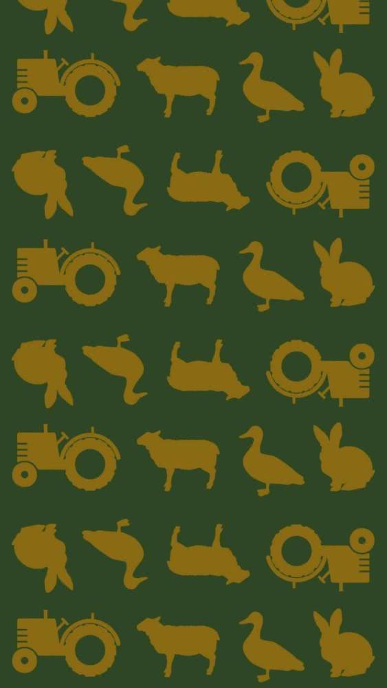 乱世方能逞英雄的星座男人 时势造英雄是公认的一句话