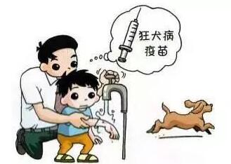 如何预防狂犬病 狂犬病的早期症状