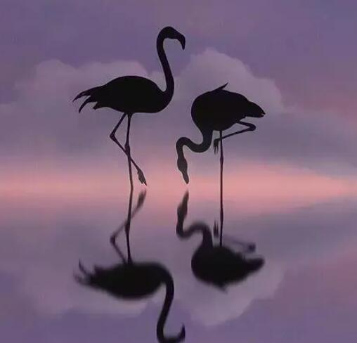 霸气潮流个性说说 让人眼前一亮！