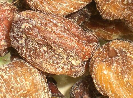 蜜枣的功效与作用 教你蜜枣最好吃的做法