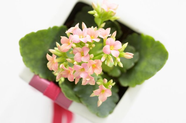 经典脑筋急转弯大全 简单的脑经急转弯及答案