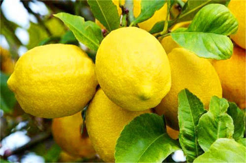 张兆辉合肥登台唱情歌 遭性感女粉丝疯狂紧抱不撒手