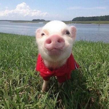 越是“苦命”的男人 越会频繁的说这些话