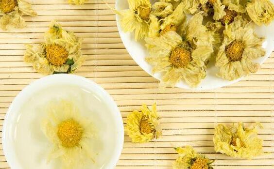 菊花茶的功效与作用 菊花茶的禁忌 喝菊花茶的好处