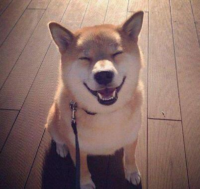 痛到心碎的句子 每一句都撕心裂肺