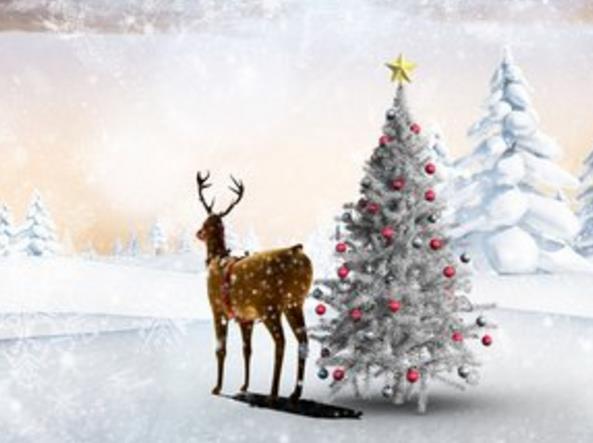 历经两次胎停 两次宫外 封闭抗体 宫腔粘连 子宫内膜炎 三促三移顺利Nt过关   