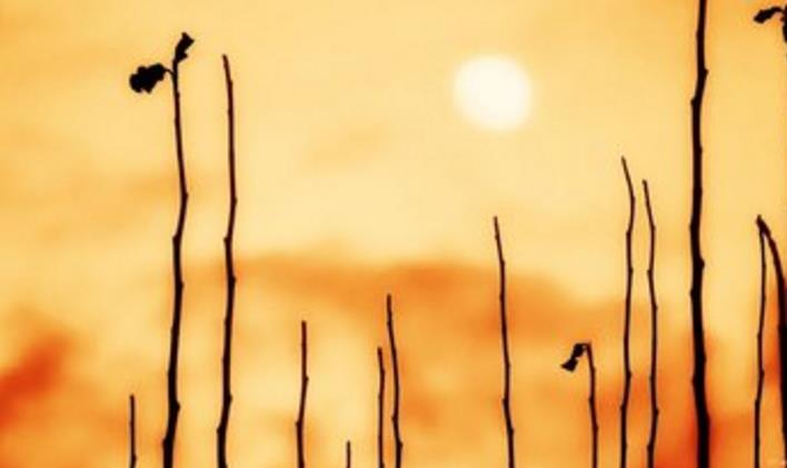 准备试管婴儿 所有试管检查都做好了 今天居然发现自然怀孕了  