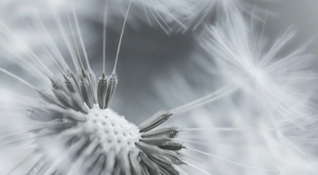 怀孕经验分享 经期不规律 和老公还是异地