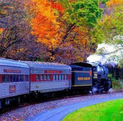 感慨人生的句子 字字千金 句句深刻！