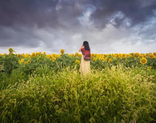 一句话打动人心的短句子 超简短超走心！